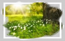 Bilder